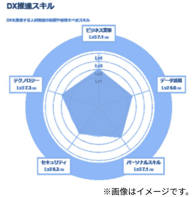 スキル診断