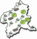 ruckygames.png